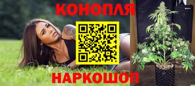 PSILOCYBIN Будённовск
