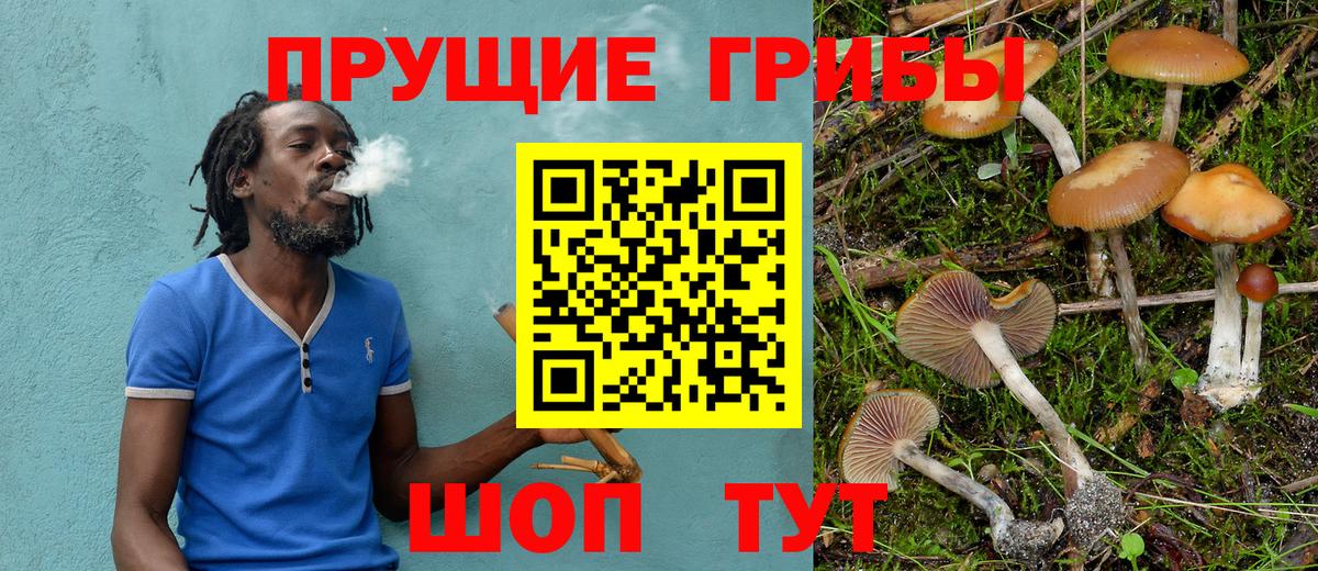 Псилоцибиновые грибы мухоморы Фурманов